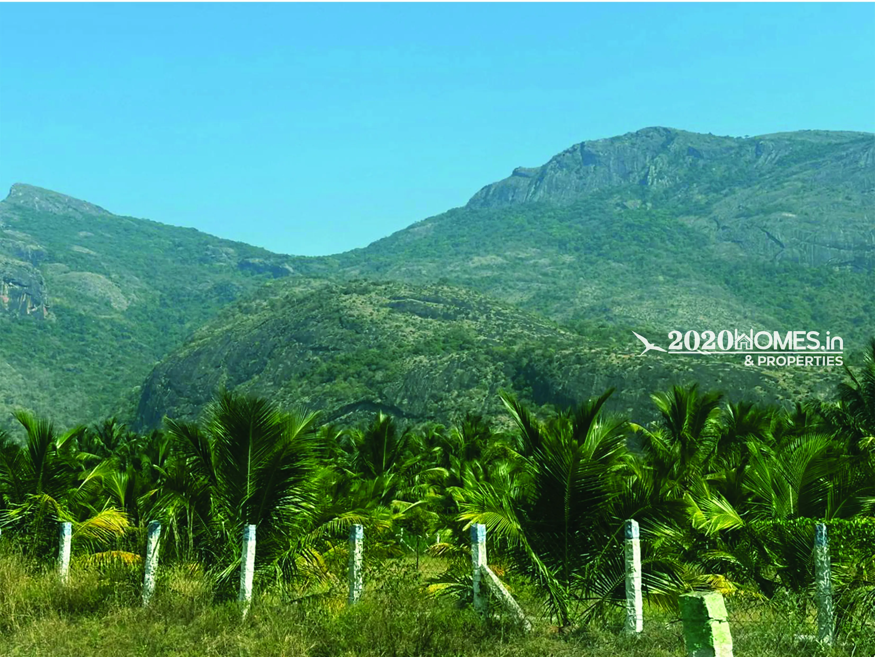 Angalakurichi GopalSwamy